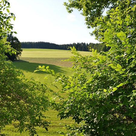 Das Ferienhaus Mondschein Im Land Der Tausend Berge - Erholung Pur In Idyllischer Alleinlage Леннештадт Экстерьер фото