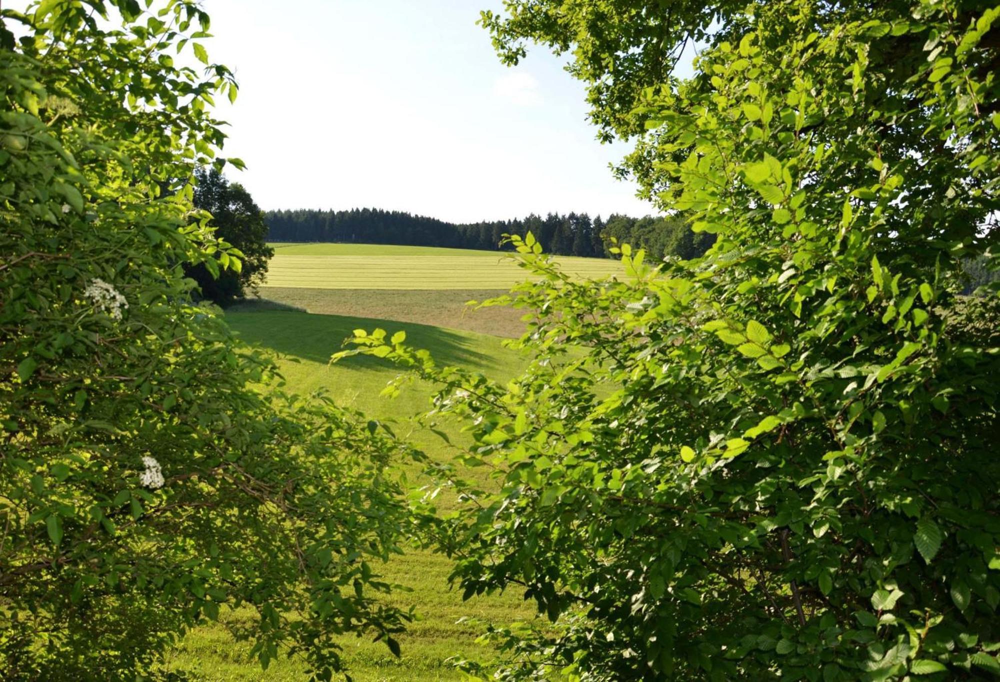 Das Ferienhaus Mondschein Im Land Der Tausend Berge - Erholung Pur In Idyllischer Alleinlage Леннештадт Экстерьер фото